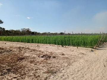 Farm & Agricultural Land