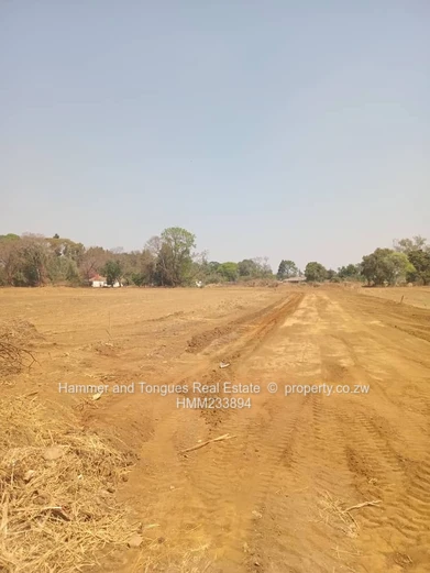 Marlborough New Cluster Stands For Sale 