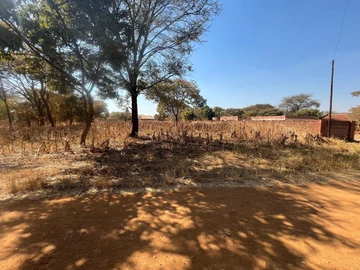 Stands & Residential Land