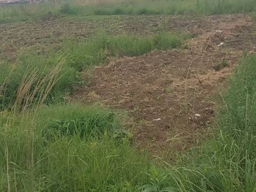 Commercial & Industrial Land