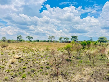 Farm & Agricultural Land