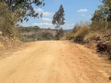 Farm & Agricultural Land