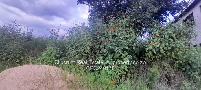 Borrowdale Carrick Creagh Stand For Sale