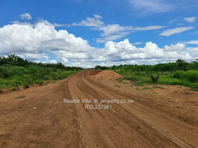 300m² Kadoma Stand — Main Road Frontage, Subdivision Potential (Sole Mandate)