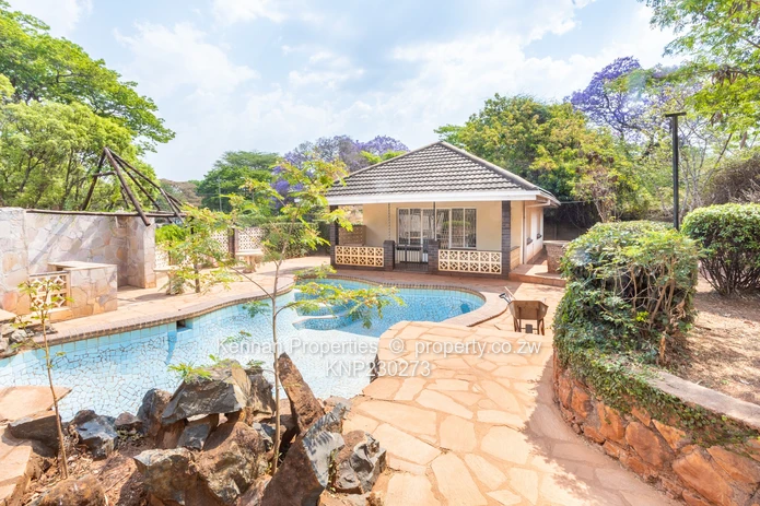 Potential On Arcturus Road - Nostro!