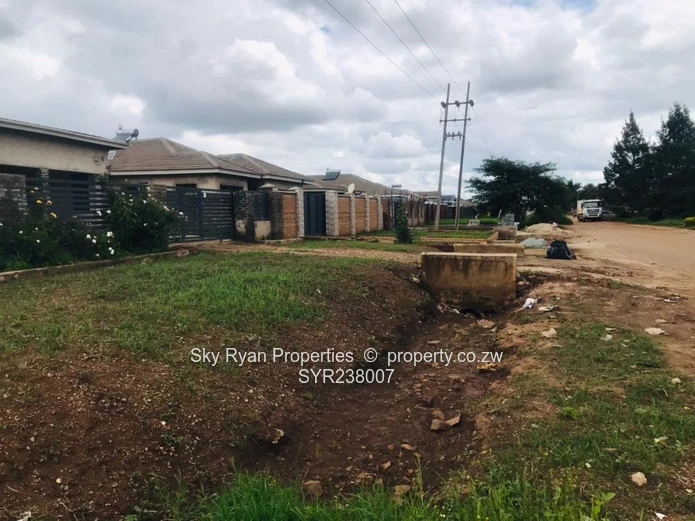 Cold Comfort Stand For Sale