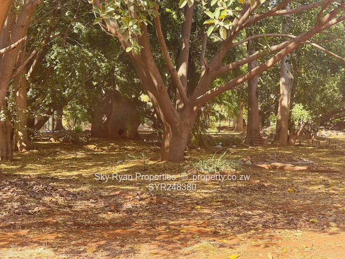 Hicc Cbd Commercial Land For Sale