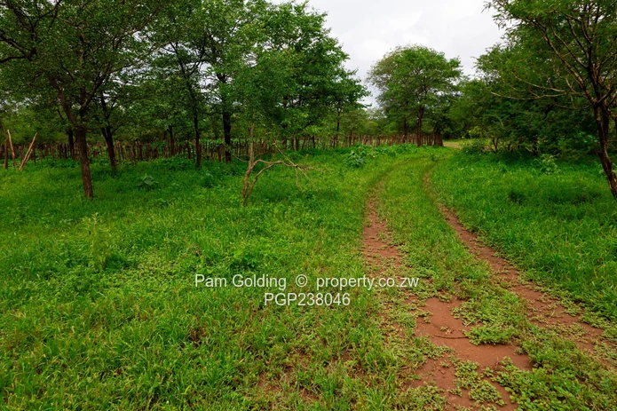 Collen Bawn Farm for Sale