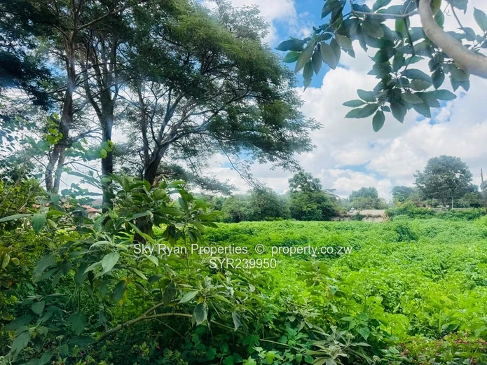 Mandara Land For Sale