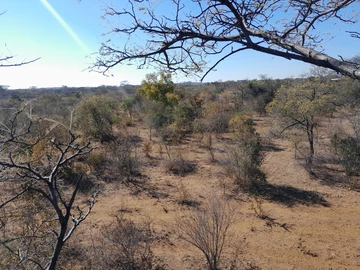 Farm & Agricultural Land