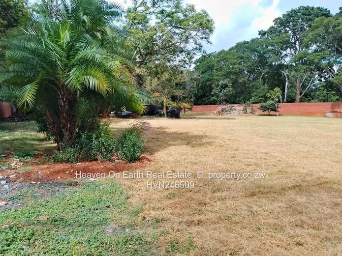 Plenty of yardspace 