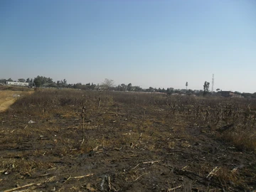 Commercial & Industrial Land