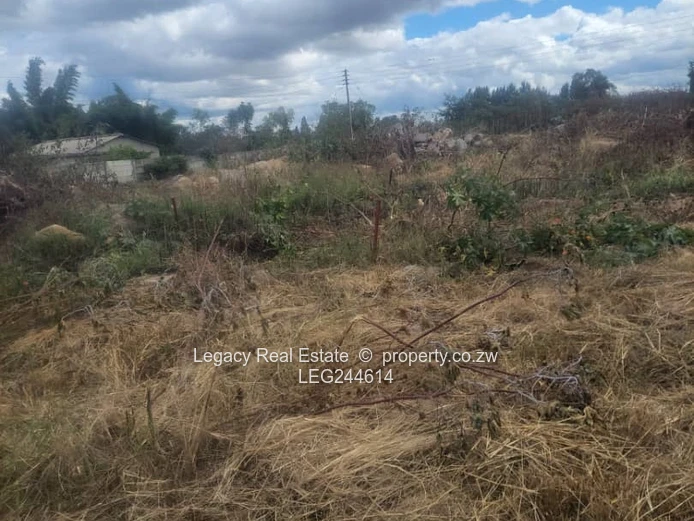 Waterfalls Prospect Cluster Stands For Sale