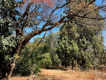 Commercial & Industrial Land