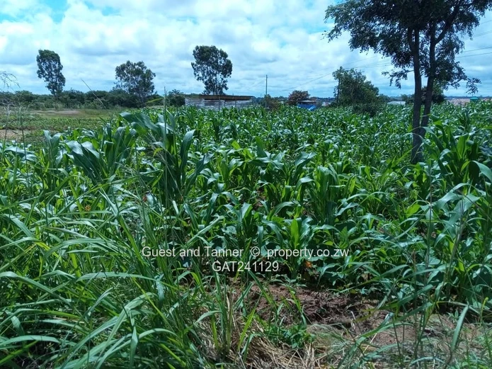Prime 3.6 Hectares on Main Road in Elizabeth Park Ruwa Ideal for School or Cluster Development