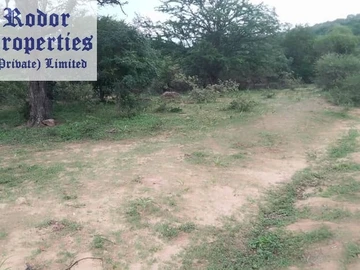 Farm & Agricultural Land