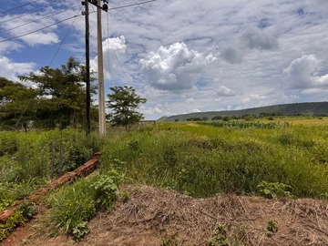 Farm & Agricultural Land