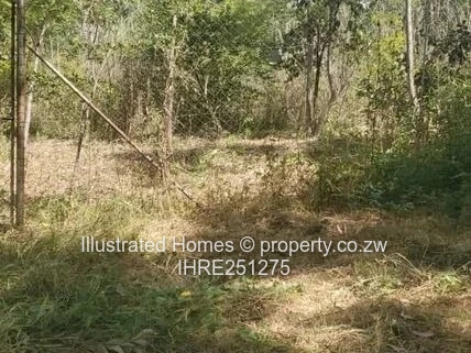 Rare and well priced