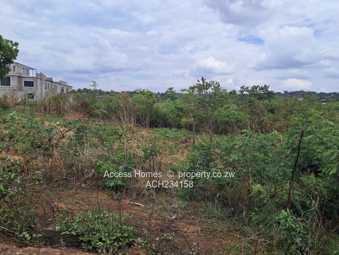 Crowhill  Stand For Sale Palm Village 