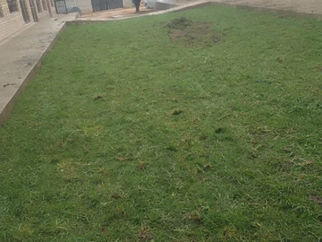 Shop & Retail Property