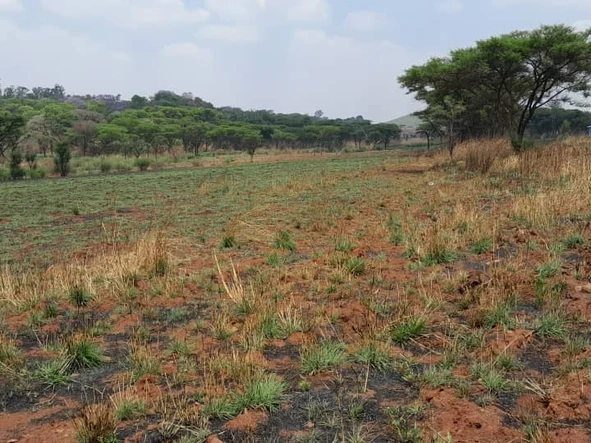 Farm & Agricultural Land