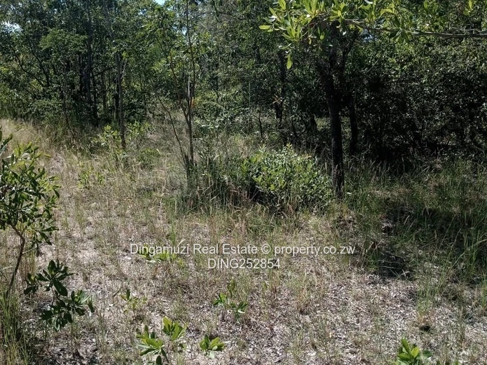 Plots in Mvuma