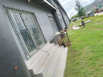 Shop & Retail Property