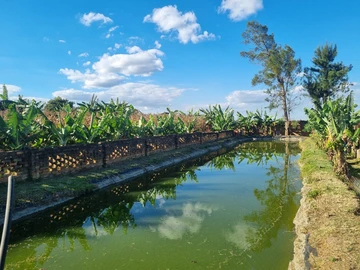 Farm & Agricultural Land