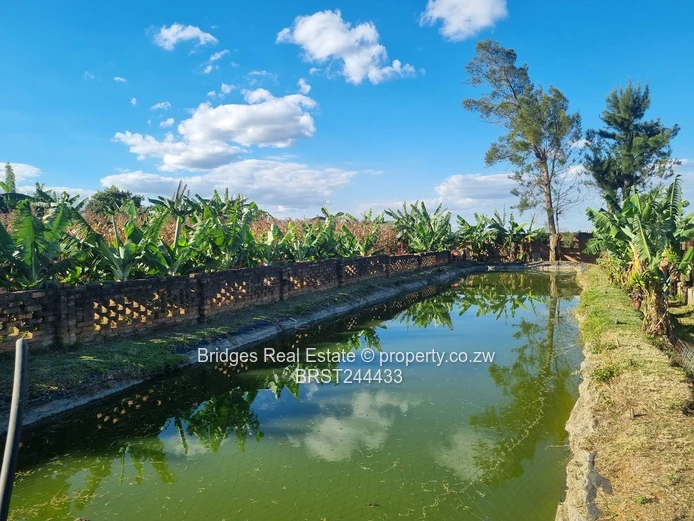 Fully Operational Peri Urban Agro Residential Plot (Sole Mandate)