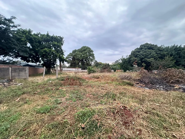 Stands & Residential Land