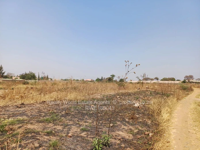 Rydale Ridge Stand For Sale 