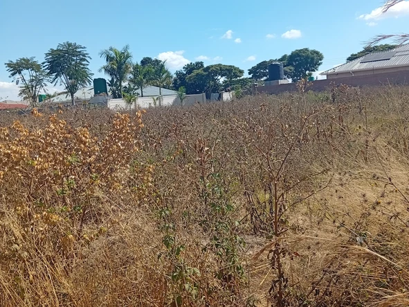 Commercial & Industrial Land