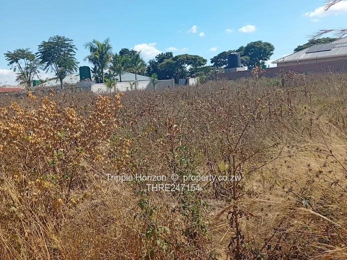 Prime 1600m² Commercial Lot  in Evelengus Damofalls with Main Road Frontage