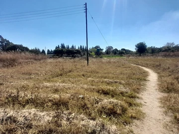 Farm & Agricultural Land