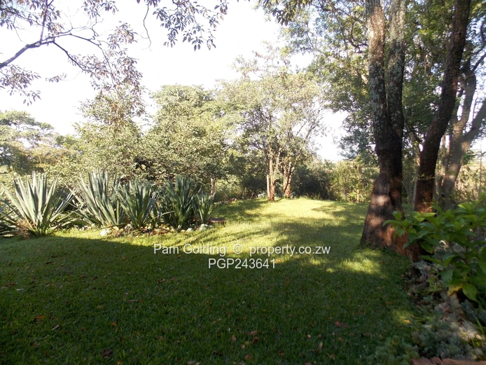 Peaceful Country Living Close to Chinoyi (Sole Mandate)