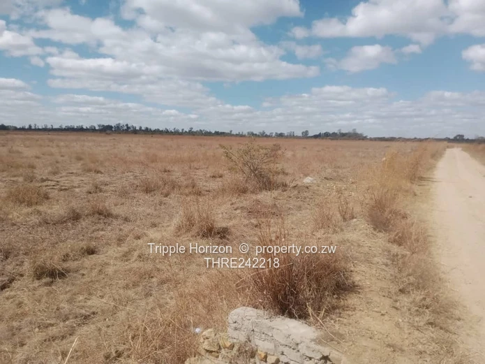 6.5 Acre Lynfield Farm – Flat Open Land, Water & Tarred Road