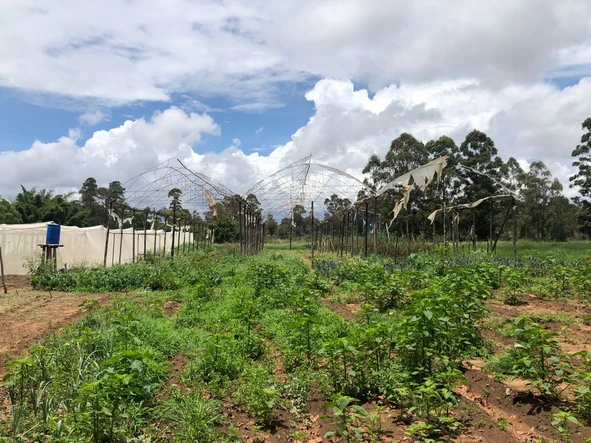 Farm & Agricultural Land