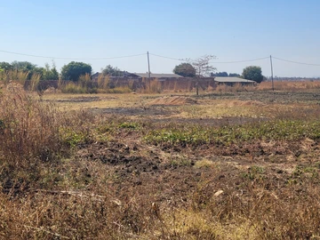 Stands & Residential Land