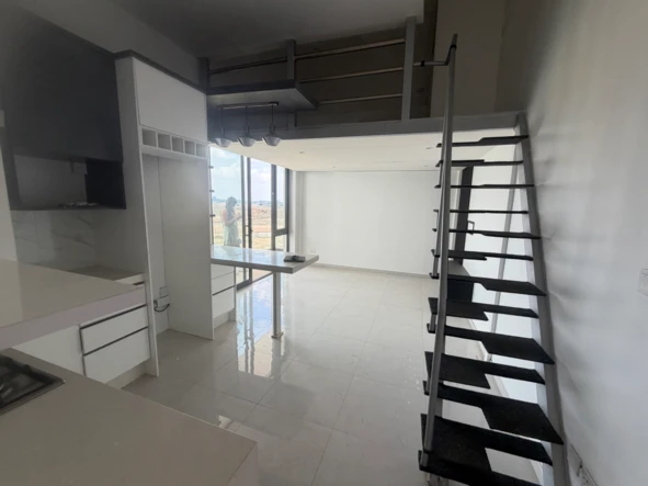 Flat & Apartment