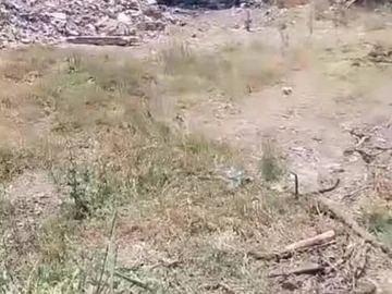 Commercial & Industrial Land