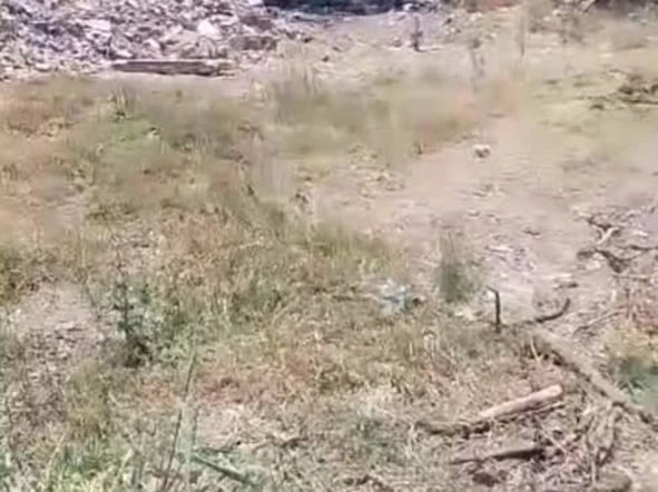 Commercial & Industrial Land