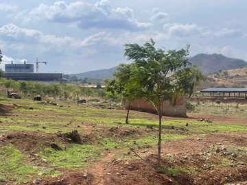 Commercial & Industrial Land