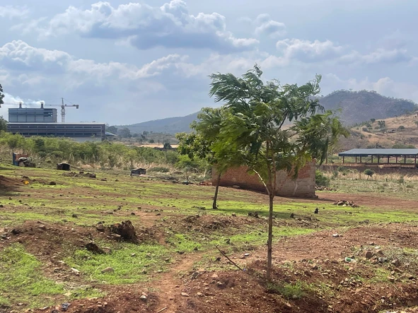 Commercial & Industrial Land