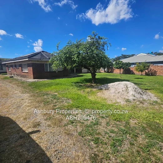 Good  Leafy Old Bluffhill , Beautiful Solid House in an Evergreen neighborhood. (Sole Mandate)