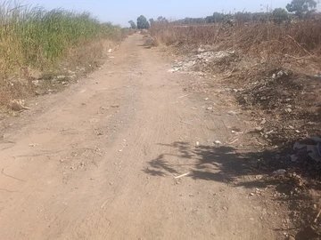 Land