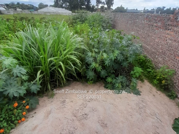 Spacious 12,692m² Walled Residential Stand with Road Frontage - Greendale