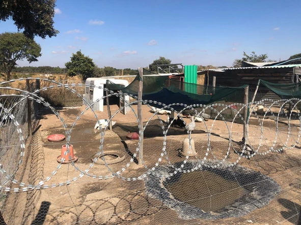 Farm & Agricultural Land