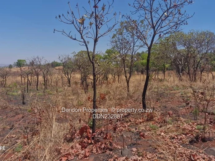 Land for redevelopment 