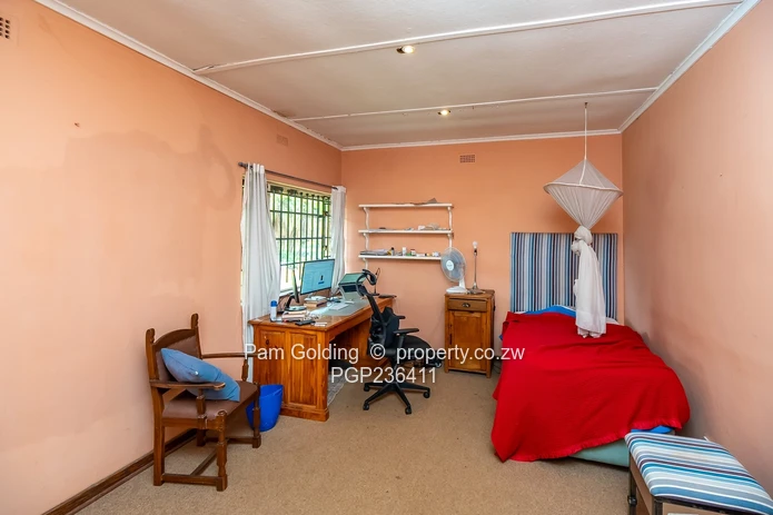 Golden Oldie Great Potential  (Sole Mandate)