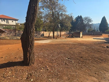 Stands & Residential Land
